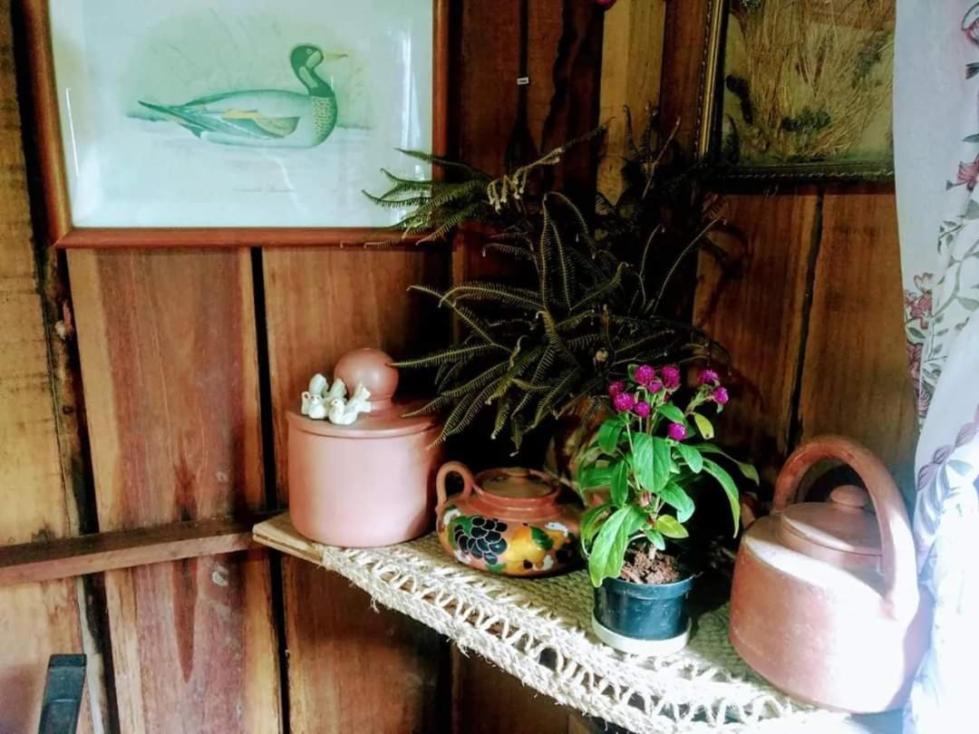 Vila Cabana Rustica Calabresi Osorio Exteriér fotografie